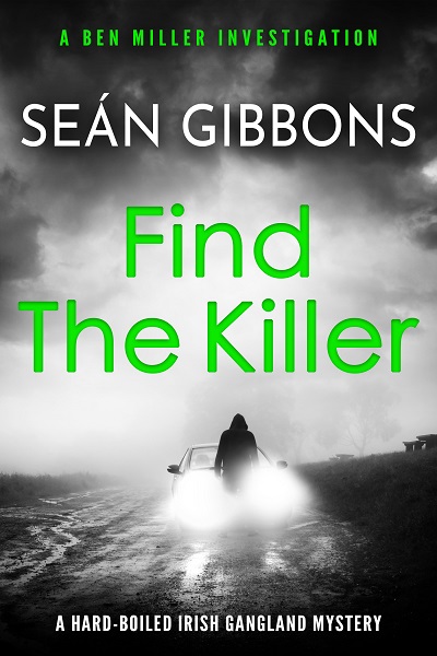 Find The Killer (Ben Miller Investigations #3)