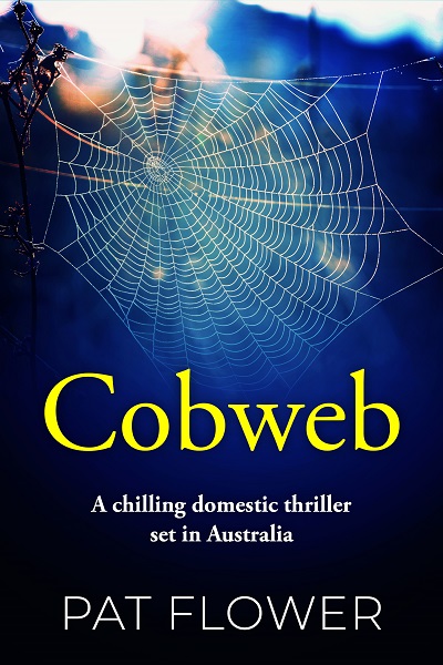 Cobweb (Pat Flower Australian Thrillers)