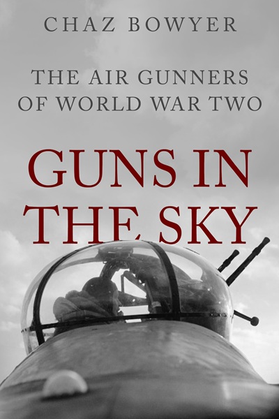 Guns in the Sky (Heroes of the Skies Book 1)