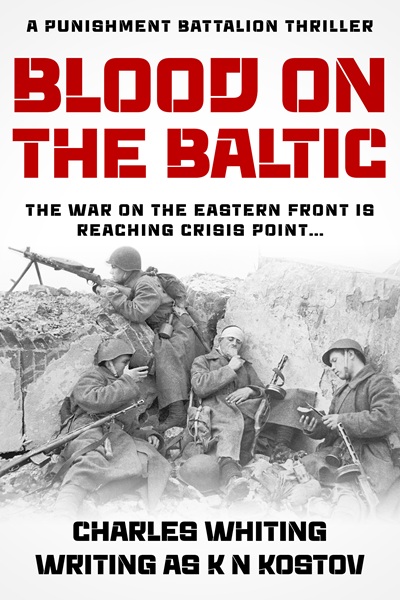 Blood on the Baltic (The Punishment Battalion Thriller Series Book 5)